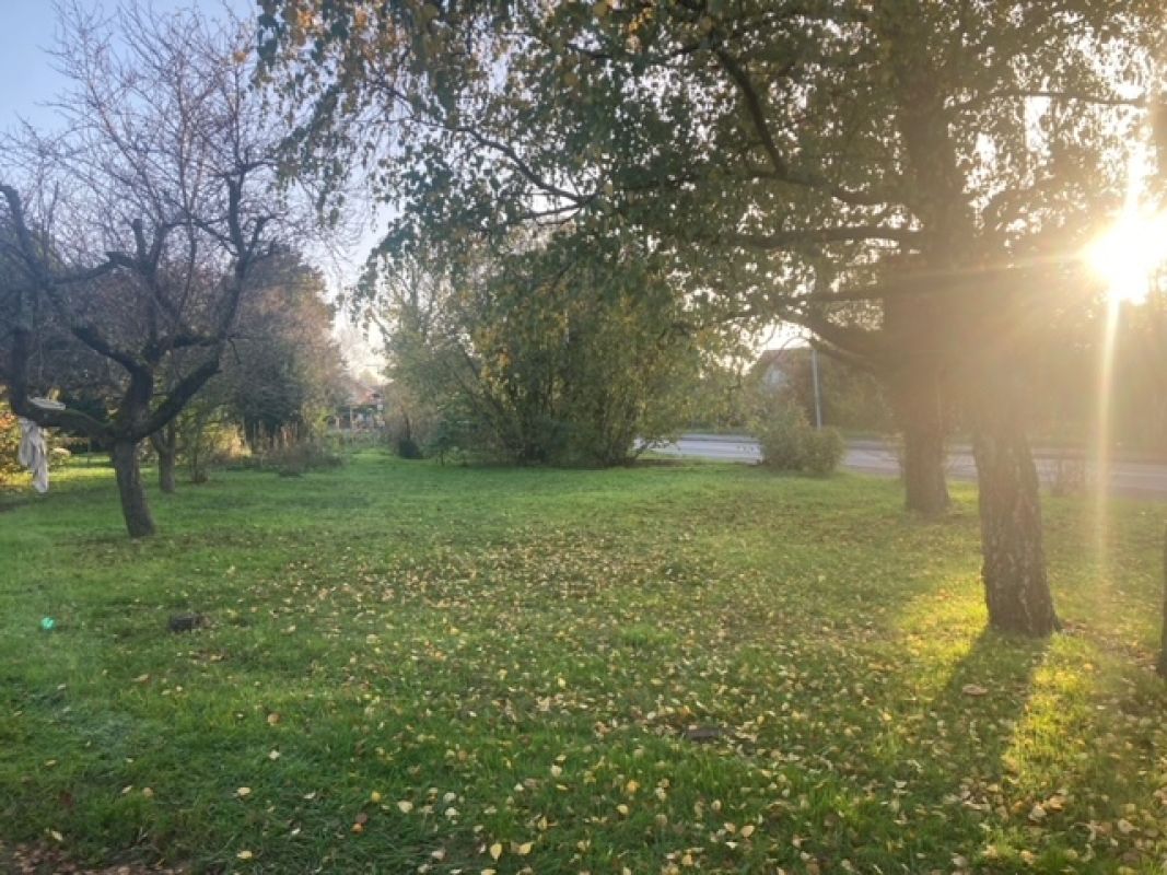 Terrain Constructible Féigères 