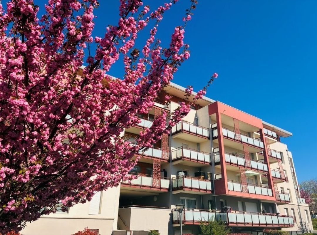 T2 récent Annecy Le Vieux